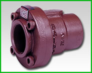 Series C Bolted Body Threaded Ductile Iron Check Valve